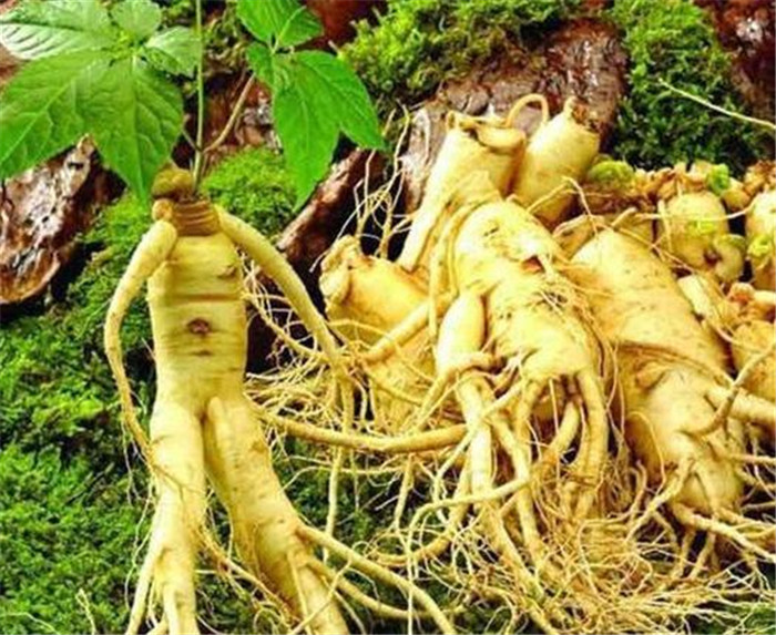 image007.jpg image007.jpg