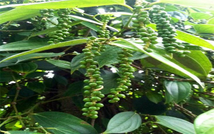 image011.jpg image011.jpg