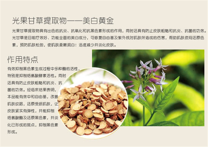 image021.jpg image021.jpg