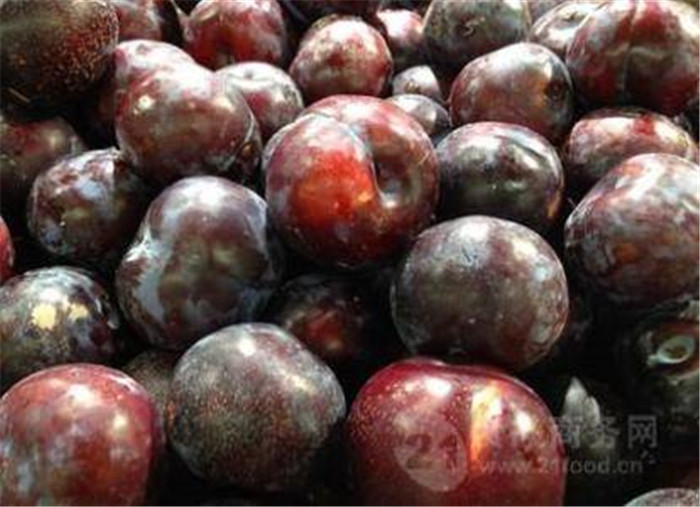 image001_副本1.jpg image001_副本1.jpg